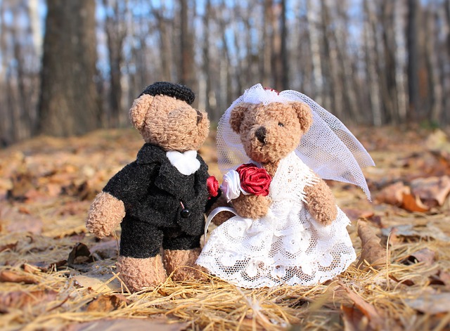 svatební medvídci